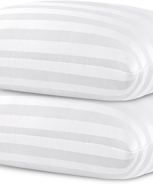 Queen Size Pillows for Side and Back Bed Pillows for Sleeping 2 Pack Sleepers Super Soft Down Alternative Microfiber Filled Pillows 20 x 30 Inches
